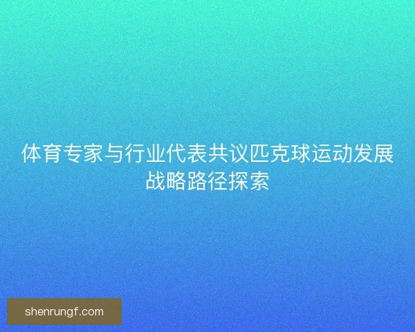 体育专家与行业代表共议匹克球运动发展战略路径探索